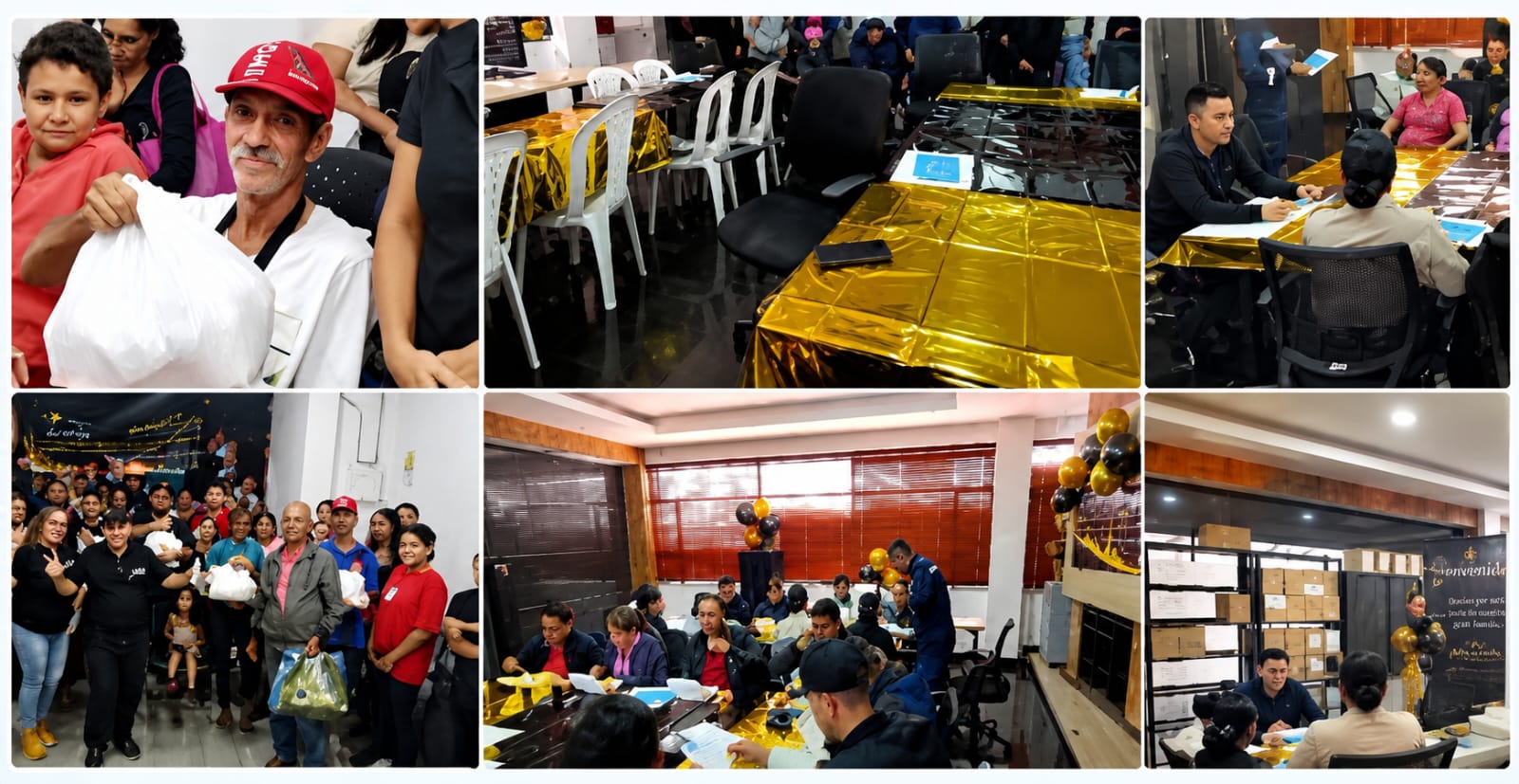 C42D — Impacto Social